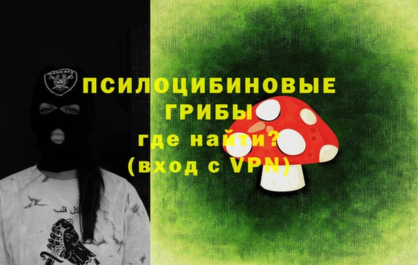 гидра Балахна
