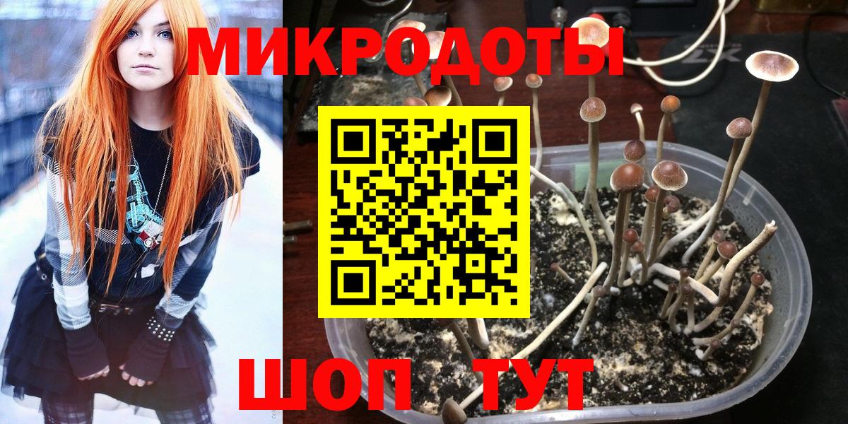 Ногинск  Псилоцибиновые грибы мицелий  Вход с VPN  Псилоцибиновые грибы GOLDEN TEACHER 
